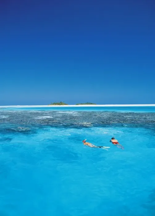 Framed Print : Couple snorkelling in the Maldives, Indian Ocean, Asia Framed Print : Couple snorkelling in the Maldives, Indian Ocean, Asia