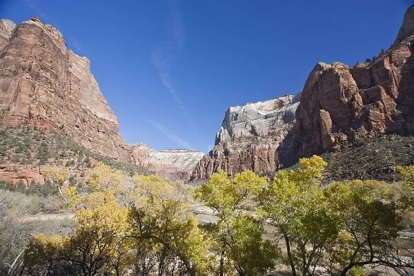 Court of the Patriarchs, Zion National Park in autumn, Utah, United States of America