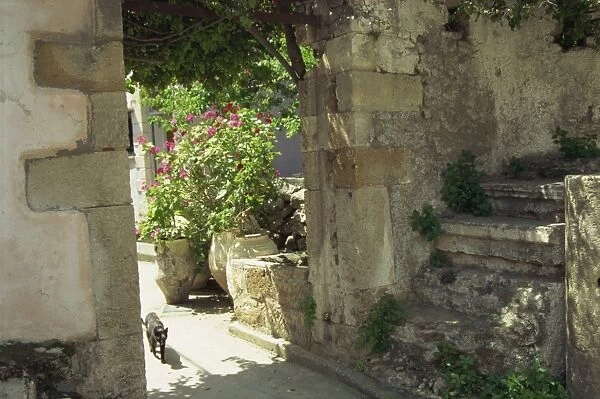 Courtyard entrance, Kastelli, near Chania, Crete, Greek Islands, Greece, Europe