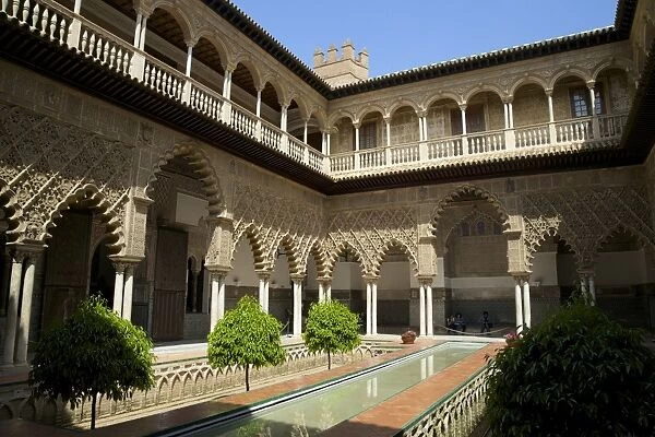 Courtyard garden, Alcazar, UNESCO World Heritage Site, Seville, Andalucia, Spain, Europe