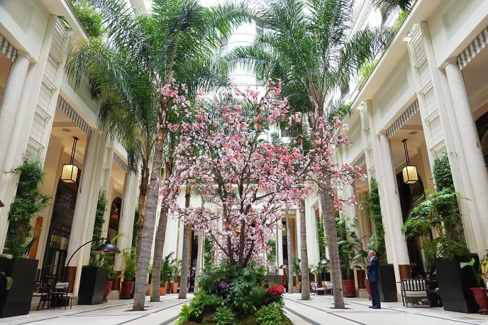 Framed Print : Courtyard of the Hotel de Paris, one of the world's most exclusive hotels, Monte Carlo, Monaco Framed Print : Courtyard of the Hotel de Paris, one of the world's most exclusive hotels, Monte Carlo, Monaco