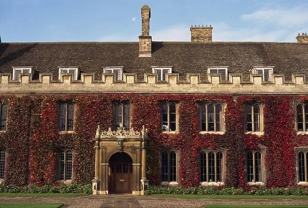 Courtyard, Trinity College, Cambridge, Cambridgeshire, England, United Kingdom, Europe