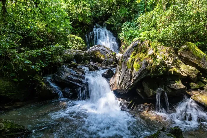 Framed Print : Couto waterfall, Atlantic Forest South-East Reserves, UNESCO World Heritage Site, Alto Ribeira Touristic State Park, Sao Paulo State, Brazil, South America Framed Print : Couto waterfall, Atlantic Forest South-East Reserves, UNESCO World Heritage Site, Alto Ribeira Touristic State Park, Sao Paulo State, Brazil, South America