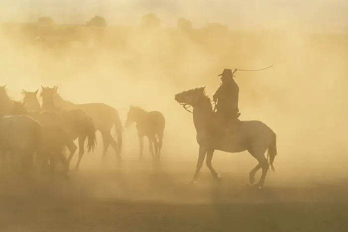Framed Print : Cowboy on horse with whip herding wild and semi-wild Yilki horses at sunset, Hacilar, Kayseri, Cappadocia, Anatolia, Turkey, Asia Minor, Asia Framed Print : Cowboy on horse with whip herding wild and semi-wild Yilki horses at sunset, Hacilar, Kayseri, Cappadocia, Anatolia, Turkey, Asia Minor, Asia