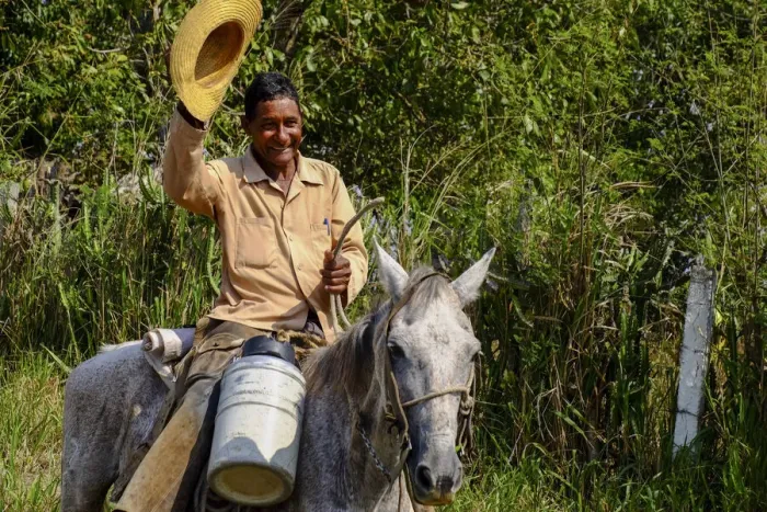 Framed Print : A cowboy on a mule waves his straw hat, Arimao, Cuba, West Indies, Central America Framed Print : A cowboy on a mule waves his straw hat, Arimao, Cuba, West Indies, Central America