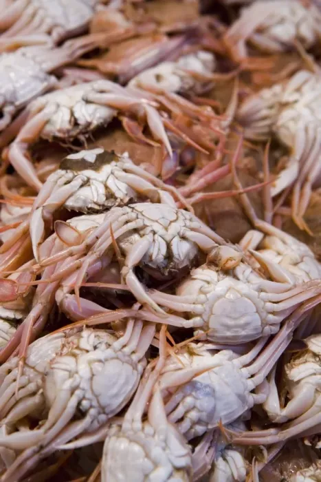 Framed Print : Crabs for sale