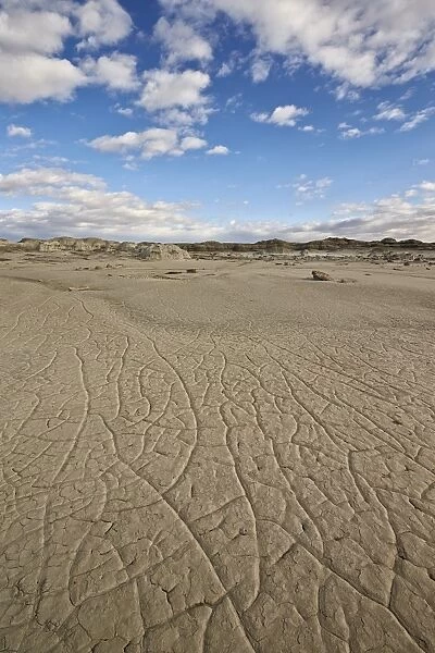 Cracked ground, Bisti Wilderness, New Mexico, United States of America, North America
