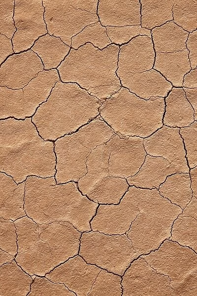 Cracked red rock soil, Grand Staircase-Escalante National Monument, Utah, United States of America, North America