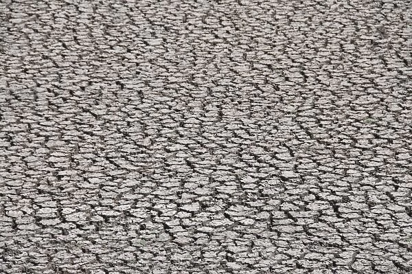 Cracked river bed in drought, Mexico, North America