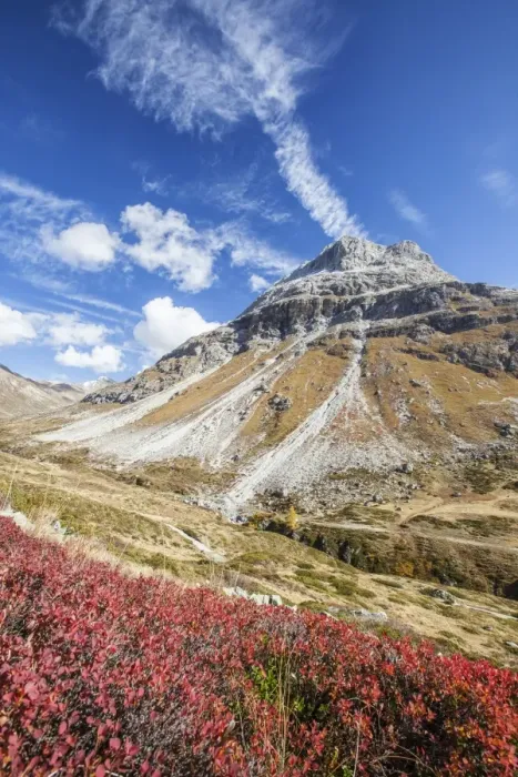 Framed Print : Cranberries and autumn colors, Fain Valley, Engadine, Canton of Grisons (Graubunden) Framed Print : Cranberries and autumn colors, Fain Valley, Engadine, Canton of Grisons (Graubunden)