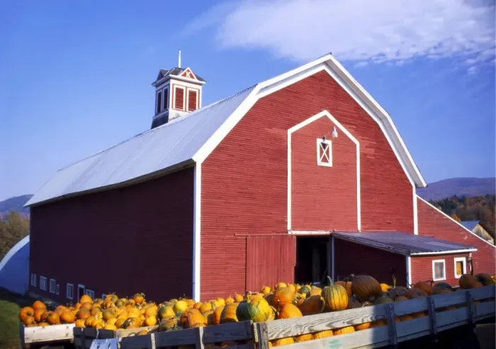 Framed Print : Crates of Pumpkins Outside a Farmhouse in Vermont, New England, USA