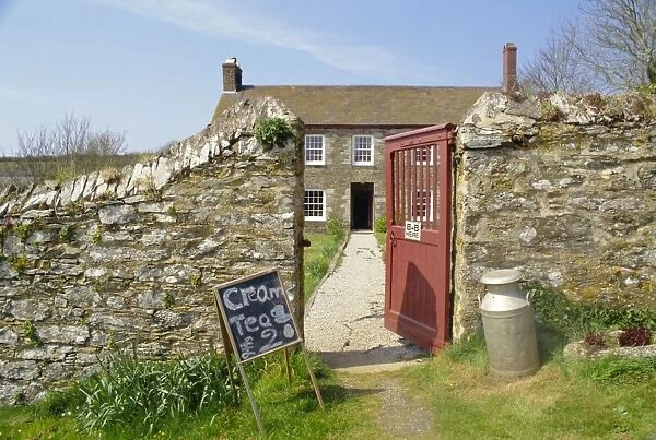 Cream teas sign outside Cornish farmhouse, near Fowey, Cornwall, England, UK, Europe