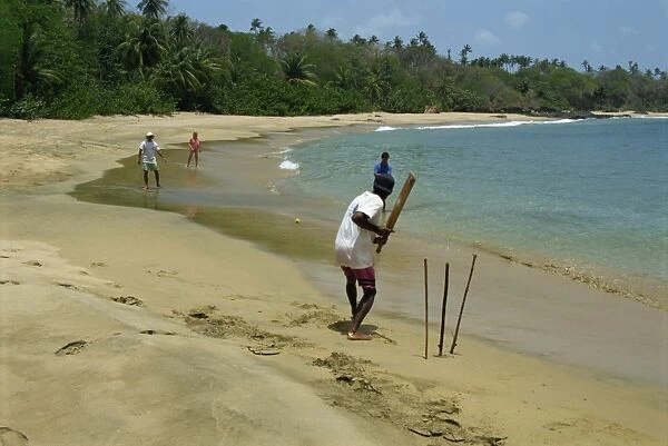 Cricket on the beach