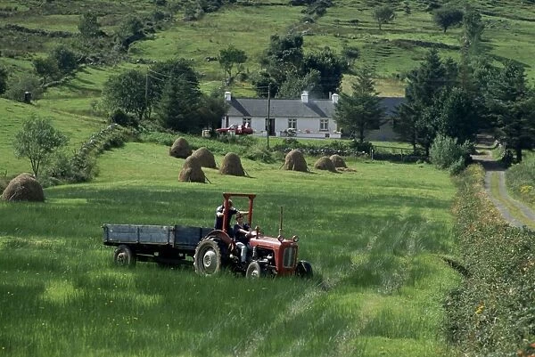 Croft with hay cocks and tractor