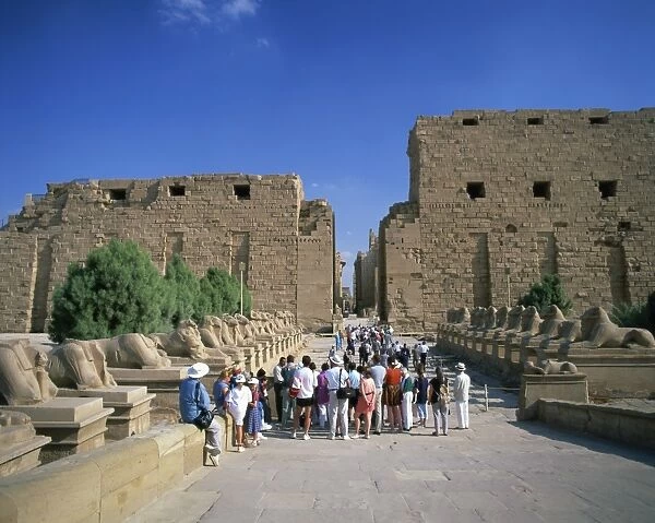 Crowd of tourists on the Processional Avenue, lined with ram-headed sphinxes