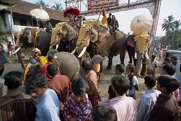 Crowds watch elephants in town in Kerala state