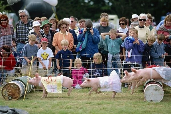 Crowds watching pigs racing at the Mayfield county