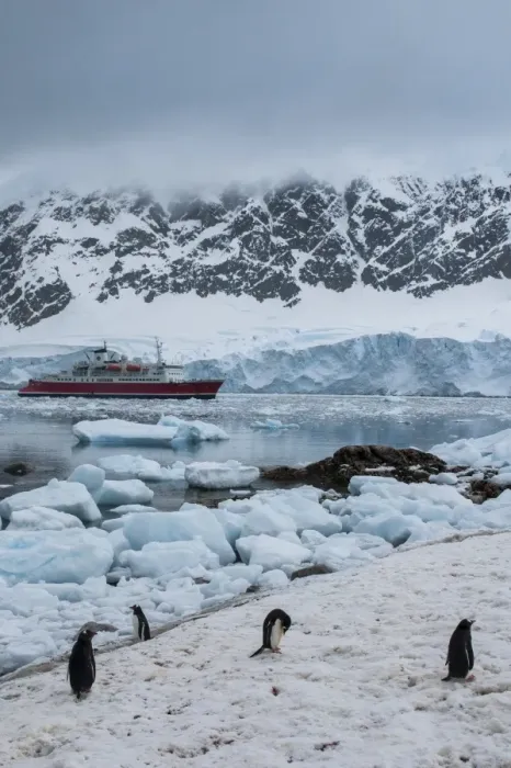 Framed Print : Cruise ship behind a Penguin colony, Neko Habour, Antarctica, Polar Regions Framed Print : Cruise ship behind a Penguin colony, Neko Habour, Antarctica, Polar Regions