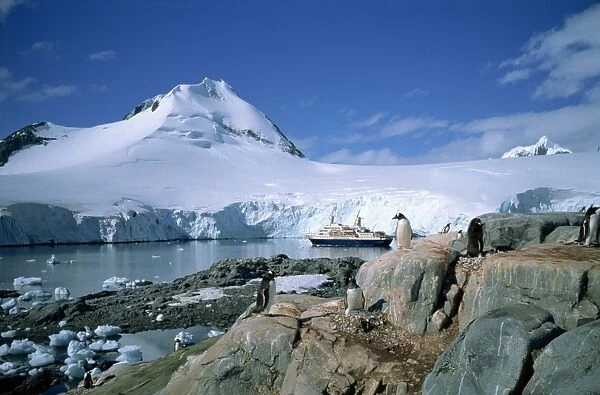 The cruise ship World Discoverer at anchor in Port Lockroy, once a Second World War British Station