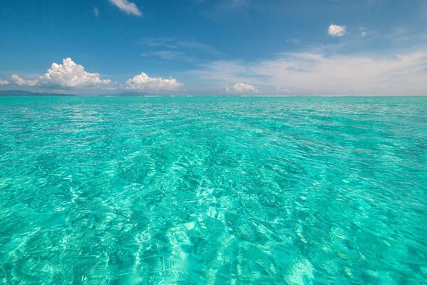 The crystal clear lagoon waters of French Polynesia on a calm sunny day, French Polynesia