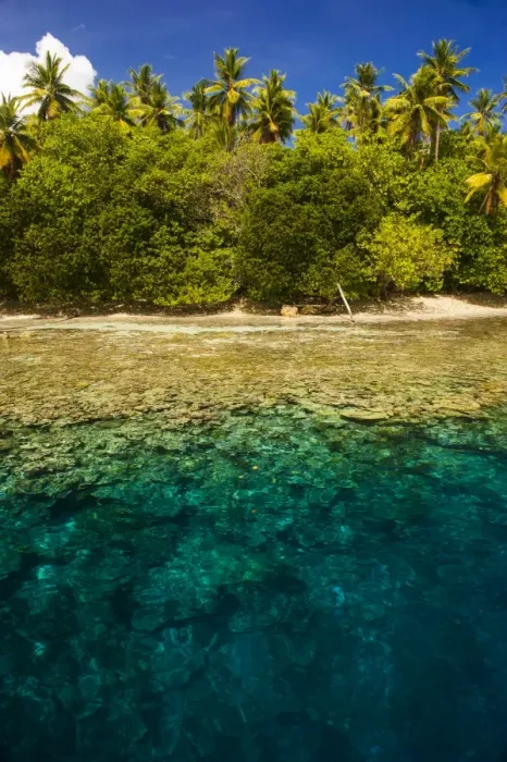 Framed Print : Crystal clear water and an islet in the Ant Atoll, Pohnpei, Micronesia, Pacific Framed Print : Crystal clear water and an islet in the Ant Atoll, Pohnpei, Micronesia, Pacific