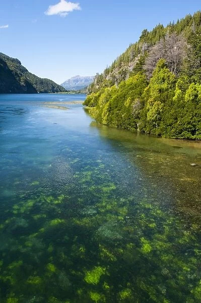 Crystal clear water in the Los Alerces National Park, Chubut, Patagonia, Argentina, South America