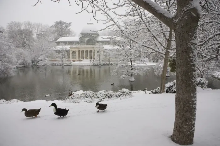 Framed Print : Crystal palace in the snow, Retiro Park, Madrid, Spain, Europe Framed Print : Crystal palace in the snow, Retiro Park, Madrid, Spain, Europe