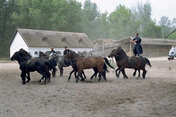 Csikos or cowboys on horse farm in the Puszta