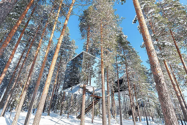 Cube shaped accommodation in the icy landscape of the boreal forest, Tree hotel, Harads, Lapland, Sweden, Scandinavia, Europe