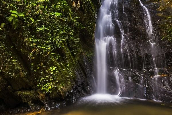 Cucharillos Waterfall in the Mashpi Cloud Forest area of the Choco Rainforest, Ecuador