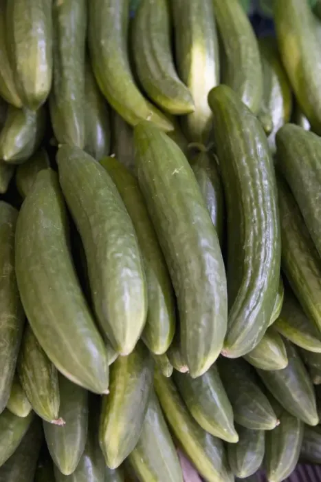 Framed Print : Cucumbers, market, Old Town, Prague, Czech Republic, Europe Framed Print : Cucumbers, market, Old Town, Prague, Czech Republic, Europe