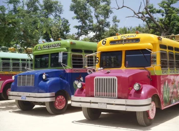 Framed Print : Custom painted buses Framed Print : Custom painted buses