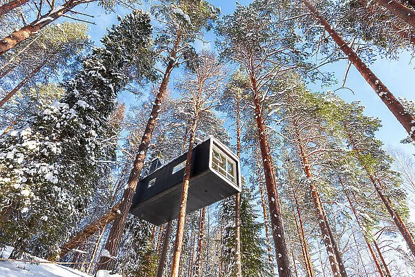 Cutting-edge accommodation inside a snow covered forest with tall trees covered with snow in Swedish Lapland, Tree hotel, Harads, Lapland, Sweden, Scandinavia, Europe