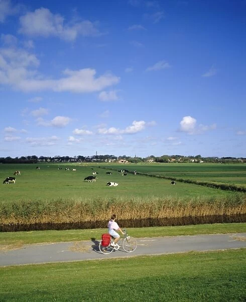 Cycling on the island of Schiermonnikoog
