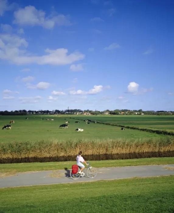 Framed Print : Cycling on the island of Schiermonnikoog Framed Print : Cycling on the island of Schiermonnikoog