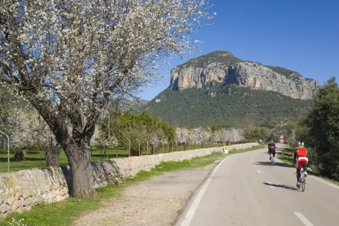 Framed Print : Cyclists on country road, Alaro, Mallorca, Balearic Islands, Spain, Europe Framed Print : Cyclists on country road, Alaro, Mallorca, Balearic Islands, Spain, Europe