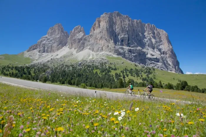 Framed Print : Cyclists and Sassolungo Group, Sella Pass, Trento and Bolzano Provinces, Italian Dolomites, Italy, Europe Framed Print : Cyclists and Sassolungo Group, Sella Pass, Trento and Bolzano Provinces, Italian Dolomites, Italy, Europe