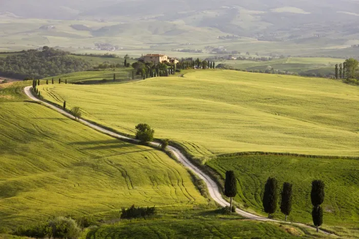Framed Print : Cypress trees and green fields in the afternoon sun at Agriturismo Terrapille (Gladiator Framed Print : Cypress trees and green fields in the afternoon sun at Agriturismo Terrapille (Gladiator