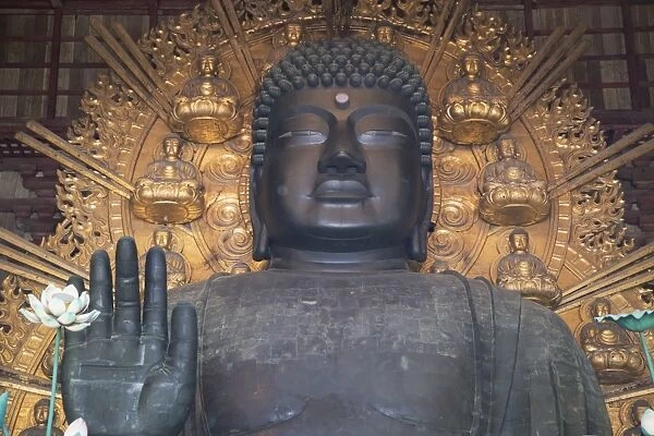 The Daibutsu (Great Buddha) inside Todaiji Temple, UNESCO World Heritage Site, Nara, Kansai, Japan, Asia