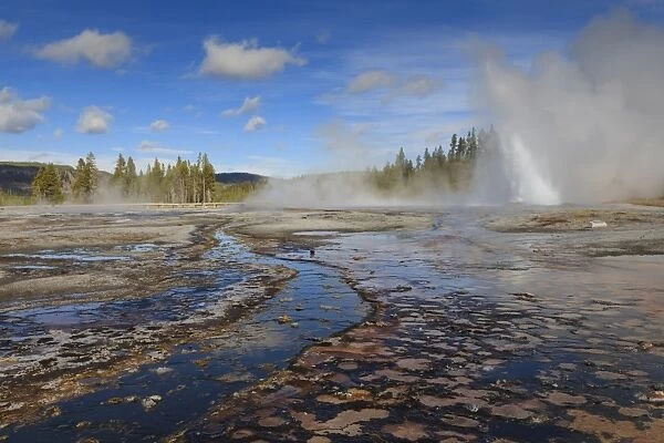 Daisy Geyser, one of the most predictable, erupts at an angle, Upper Geyser Basin, Yellowstone National Park, UNESCO World Heritage Site, Wyoming, United States of America, North America