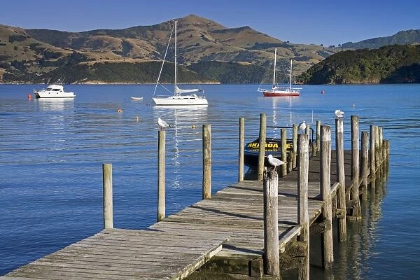 Dalys Wharf in French Bay, Akaroa, Banks Peninsula, Canterbury District, South Island, New Zealand, Pacific