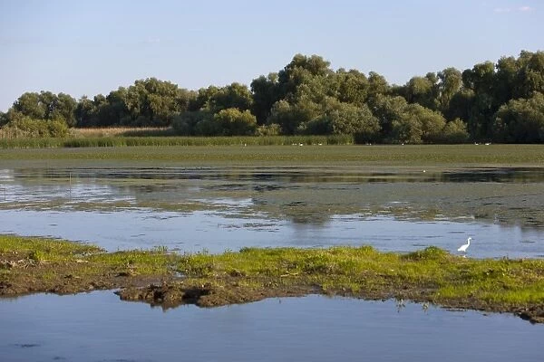 Danube River delta, Romania, Europe