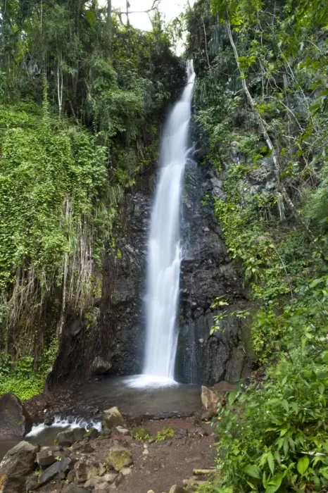 Framed Print : Dark View Falls, St. Vincent, St. Vincent and The Grenadines, Windward Islands Framed Print : Dark View Falls, St. Vincent, St. Vincent and The Grenadines, Windward Islands