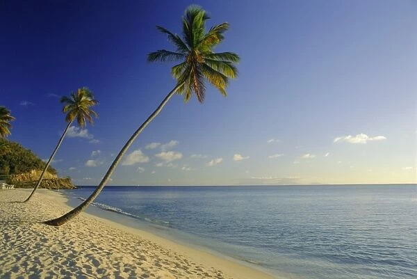 Darkwood Beach, Antigua, Caribbean, West Indies