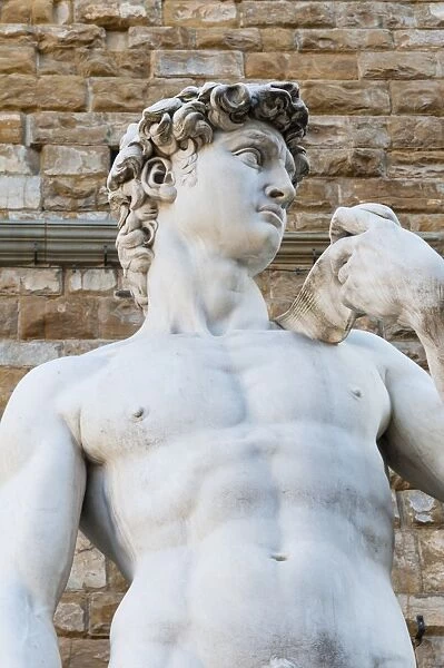 David by Michelangelo dating from the 16th century, Piazza della Signoria, Florence (Firenze), UNESCO World Heritage Site, Tuscany, Italy, Europe