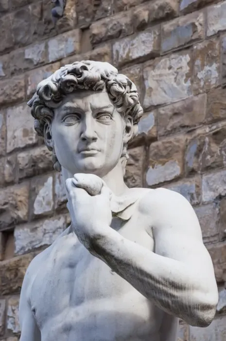 Framed Print : The David, by Michelangelo, Palazzo Vecchio, Piazza Signoria, Florence (Firenze), UNESCO World Heritage Site, Tuscany, Italy, Europe Framed Print : The David, by Michelangelo, Palazzo Vecchio, Piazza Signoria, Florence (Firenze), UNESCO World Heritage Site, Tuscany, Italy, Europe