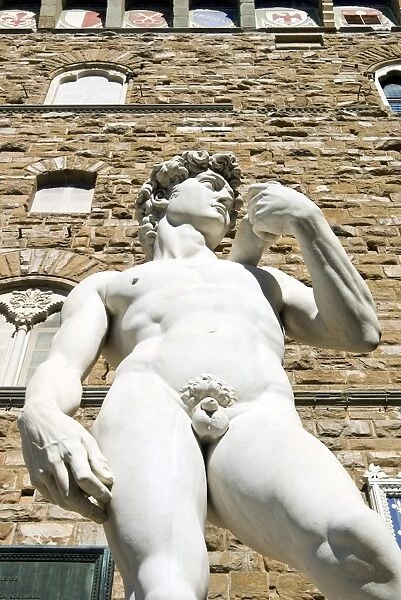 The David of Michelangelo, Piazza della Signoria, Florence (Firenze), UNESCO World Heritage Site