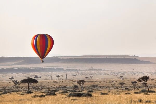 Dawn hot air balloon ride, Masai Mara National Reserve, Kenya, East Africa, Africa