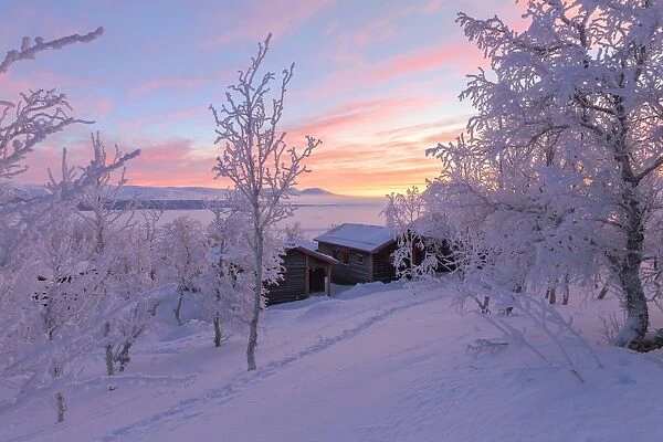 Dawn light illuminates a lonely house in the snow-covered forest, Bjorkliden, Norbottens Ian