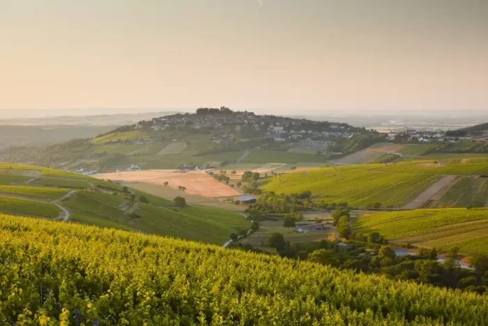 Framed Print : Dawn light starts to fill the skies above the village and vineyards of Sanerre, Cher, Loire Valley, Centre, France, Europe Framed Print : Dawn light starts to fill the skies above the village and vineyards of Sanerre, Cher, Loire Valley, Centre, France, Europe
